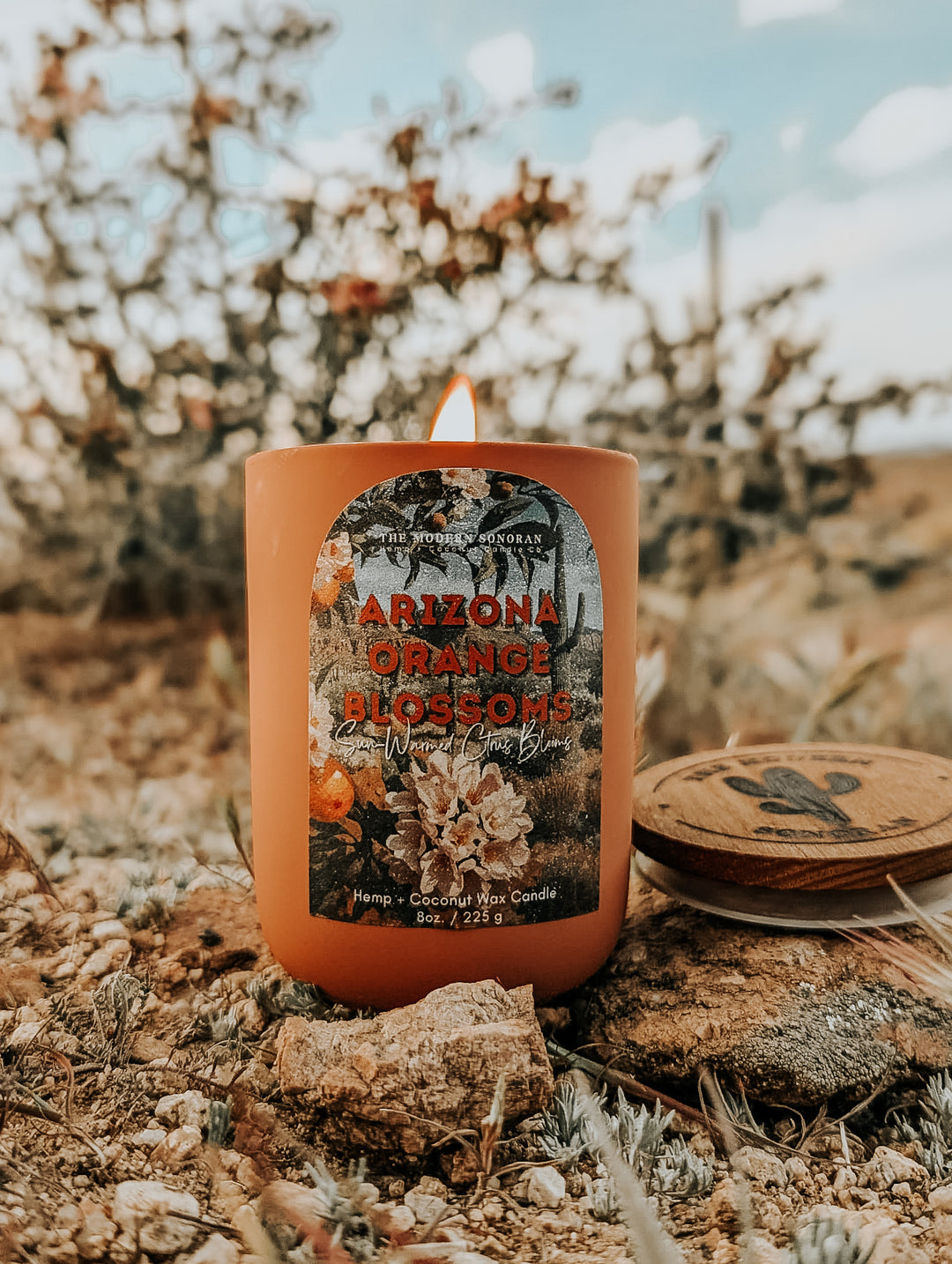 Arizona Orange Blossoms - The Modern Sonoran