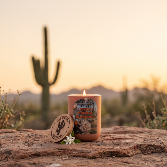 Arizona Orange Blossoms - The Modern Sonoran