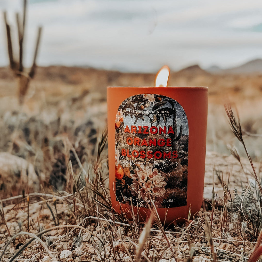 Arizona Orange Blossoms - The Modern Sonoran