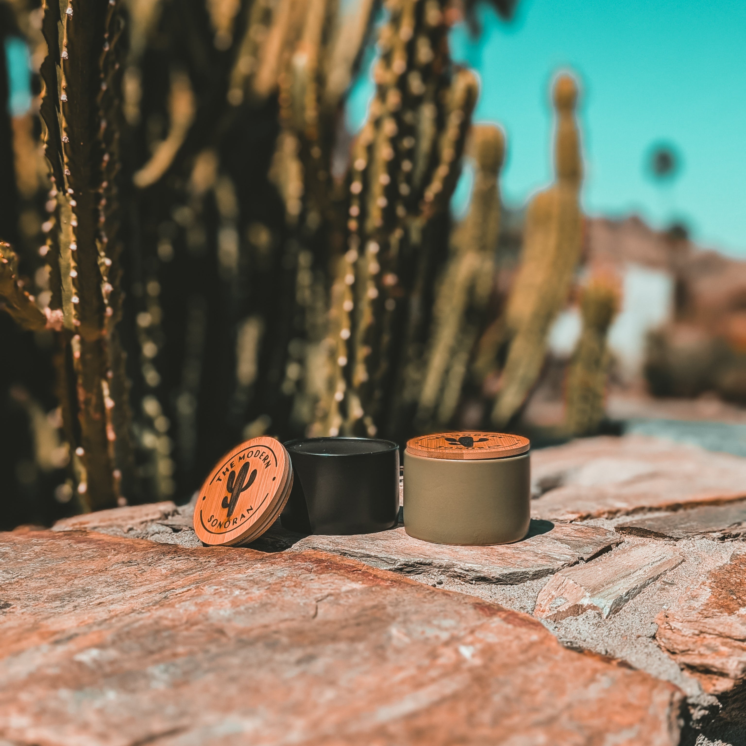 Free Spirit - The Modern Sonoran