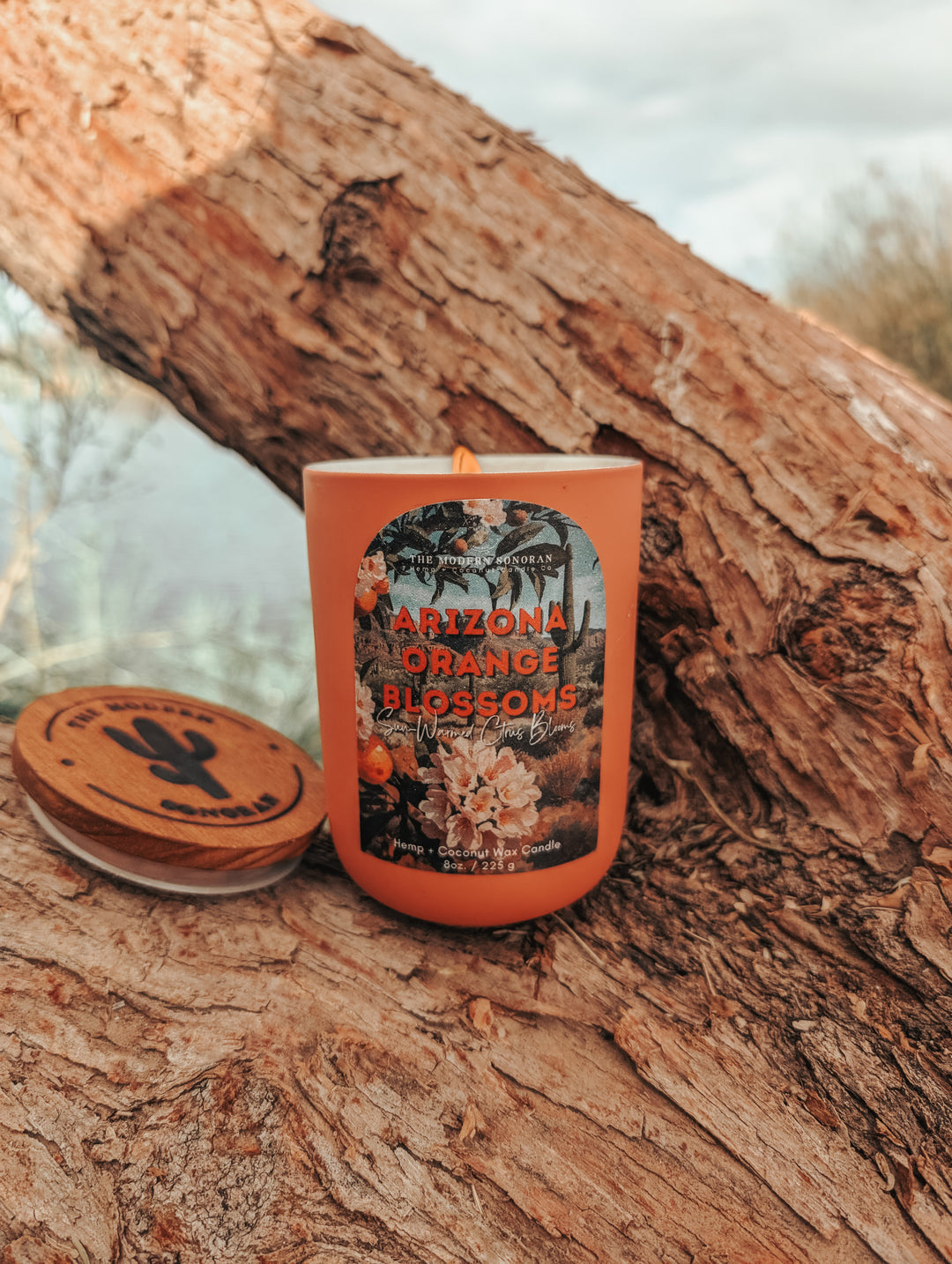 Arizona Orange Blossoms - The Modern Sonoran